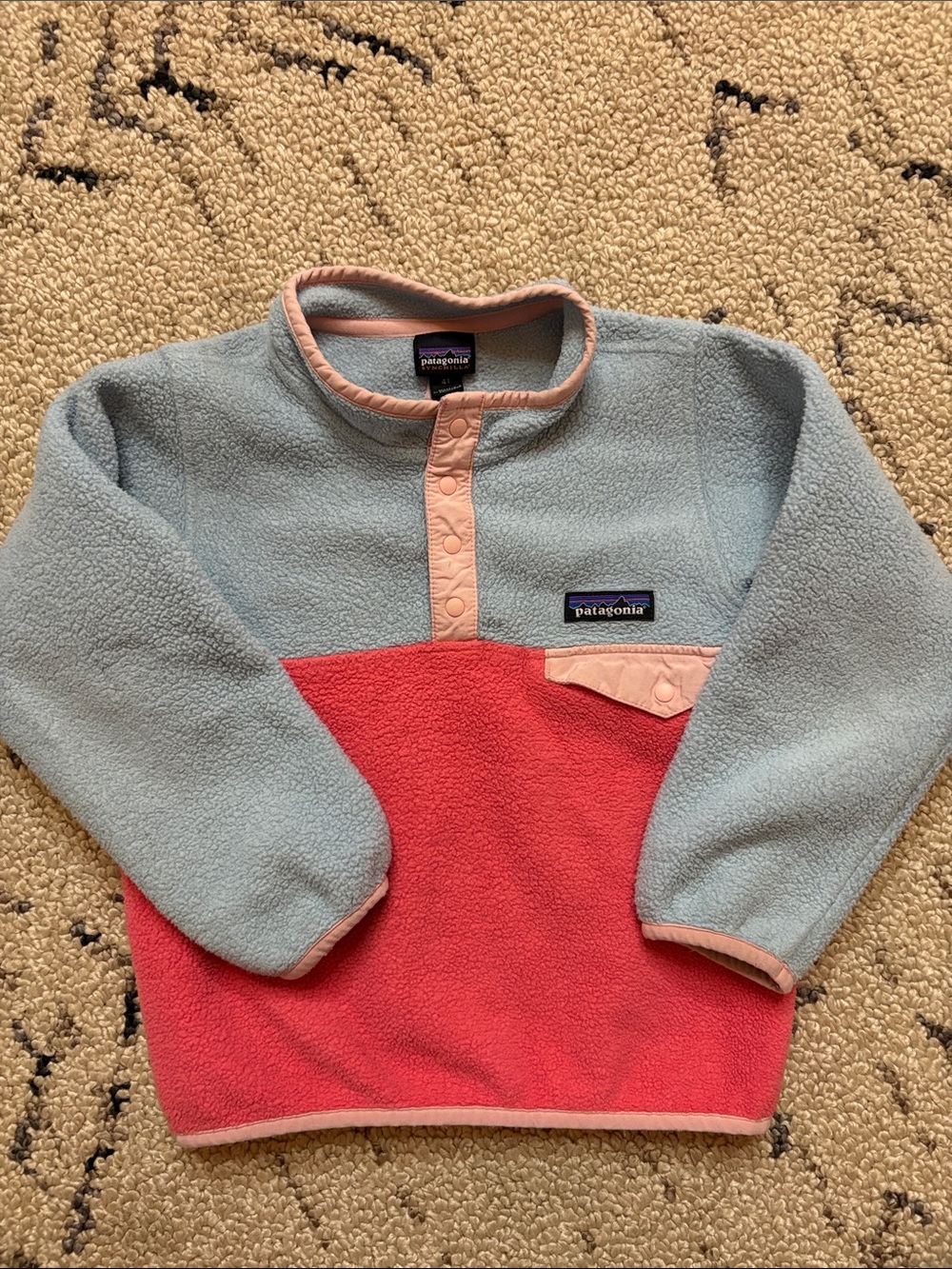 Patagonia Kids Retro Fleece Pullover (4T)